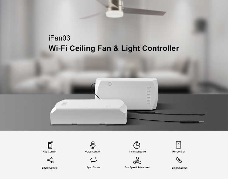 iFan03_01