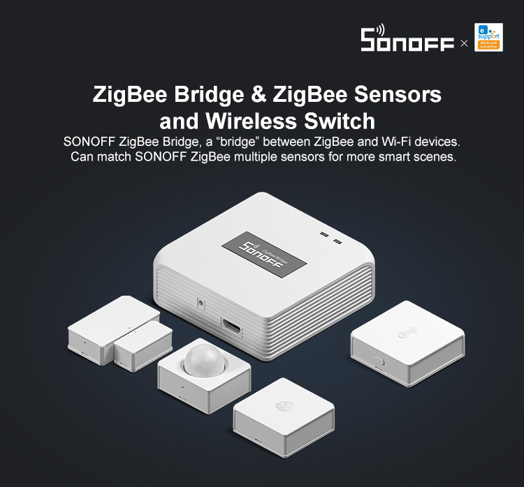 ZBBridge_01