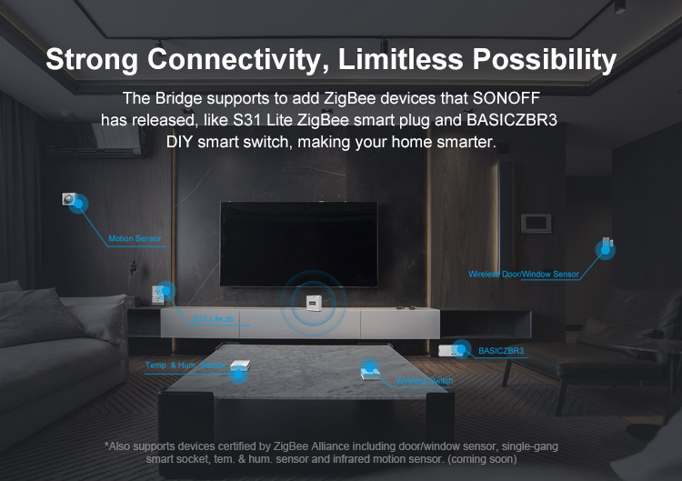 ZBBridge_04