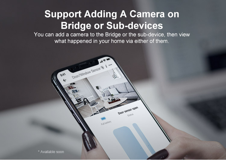 ZBBridge_17